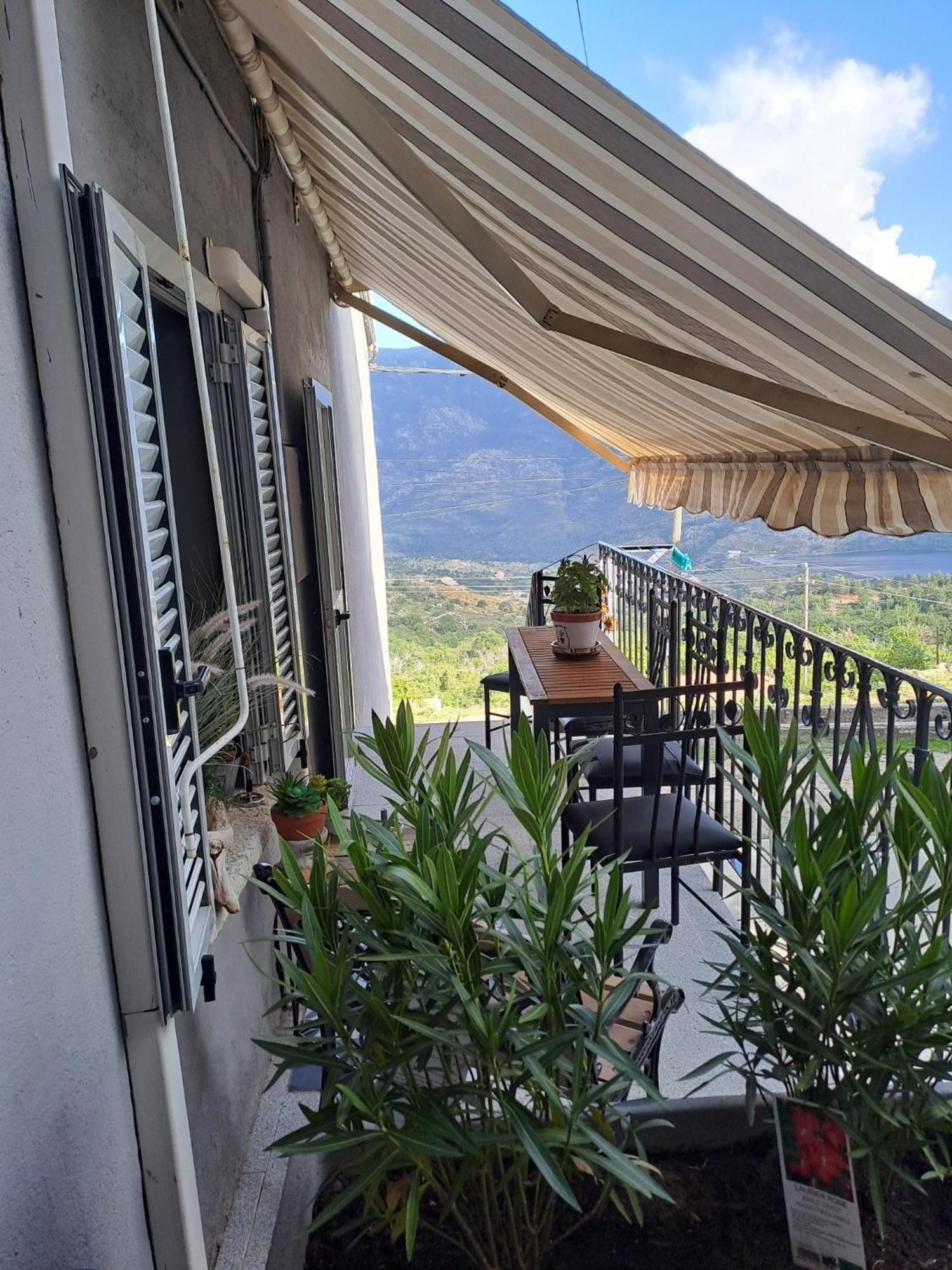 Location En Corse Au Pied Du Monte Cintu Appartement Lozzi Buitenkant foto